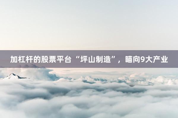 加杠杆的股票平台 “坪山制造”，瞄向9大产业