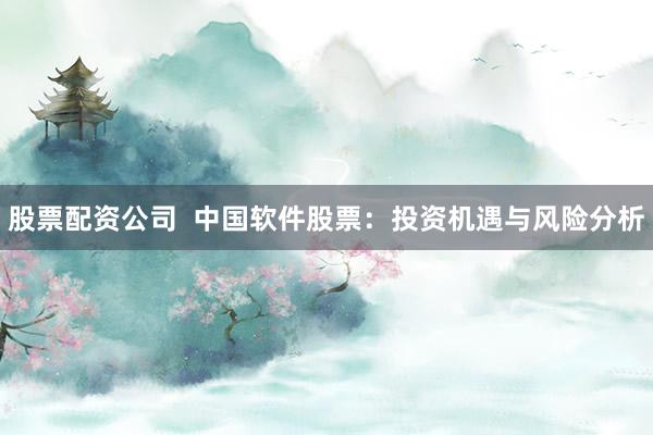 股票配资公司  中国软件股票：投资机遇与风险分析