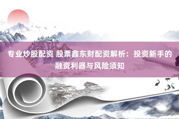专业炒股配资 股票鑫东财配资解析：投资新手的融资利器与风险须知