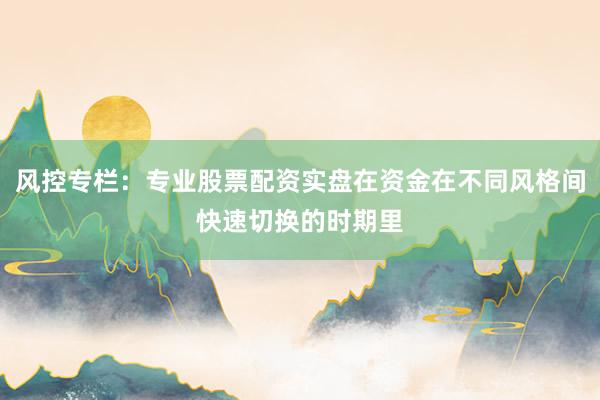 风控专栏：专业股票配资实盘在资金在不同风格间快速切换的时期里
