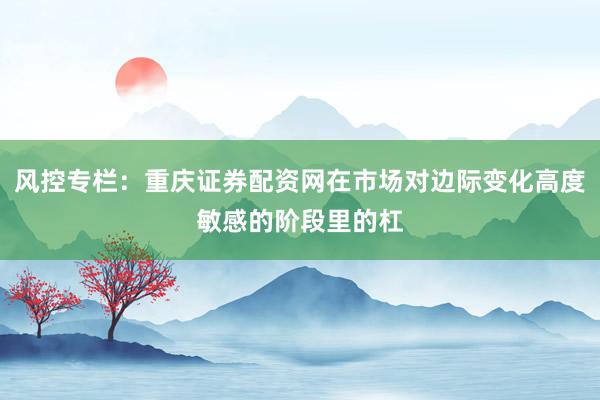 风控专栏：重庆证券配资网在市场对边际变化高度敏感的阶段里的杠
